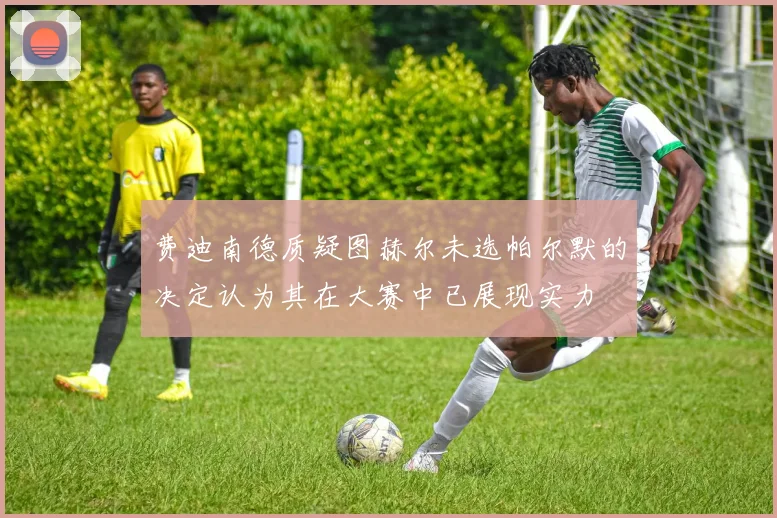 费迪南德质疑图赫尔未选帕尔默的决定认为其在大赛中已展现实力