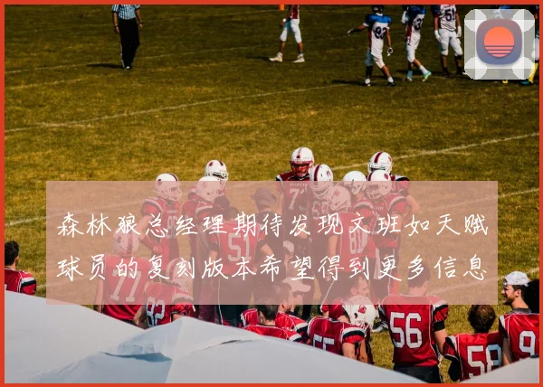 森林狼总经理期待发现文班如天赋球员的复刻版本希望得到更多信息