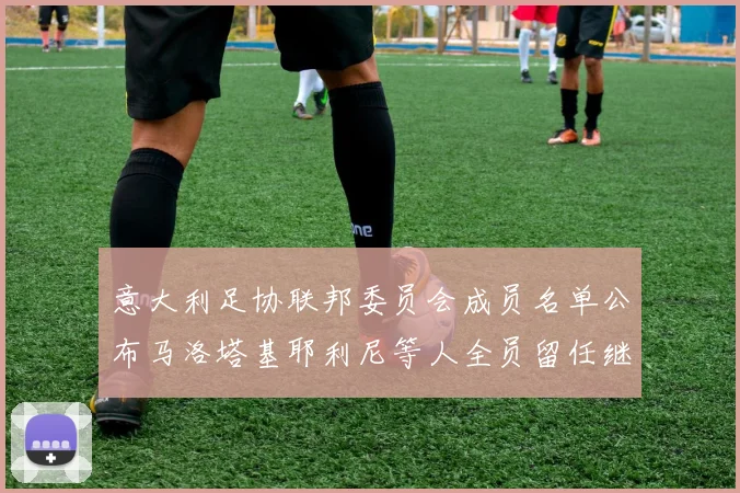 意大利足协联邦委员会成员名单公布马洛塔基耶利尼等人全员留任继续服务